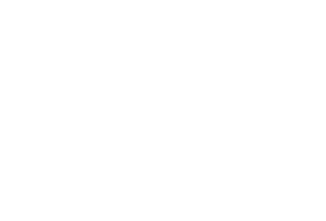 OLX Logo