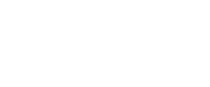 Netelek (Pty) Ltd Logo