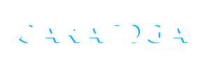 Saratoga Software Logo