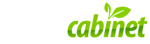 Digital Cabinet Logo