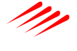 WIZZIT International Logo