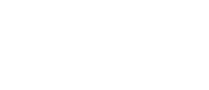 Domestly Logo
