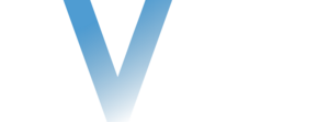 BVNK Logo