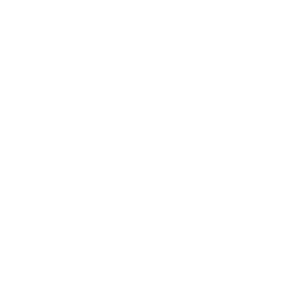 Silicon Overdrive Logo