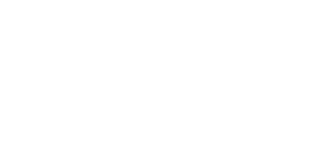 Digital Flux Logo