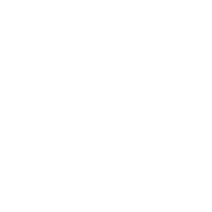 DataOrbis Information Solutions Logo