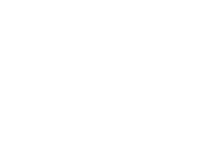 Wealthbit Logo