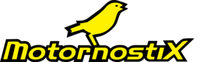 Motornostix Logo