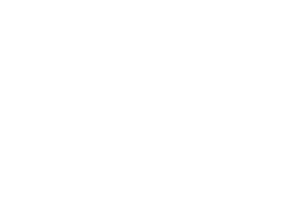 Linxus Logo