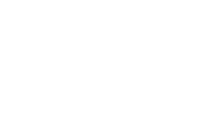TwoThreeBird Logo